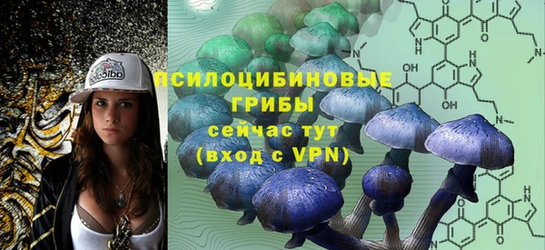первитин Нея