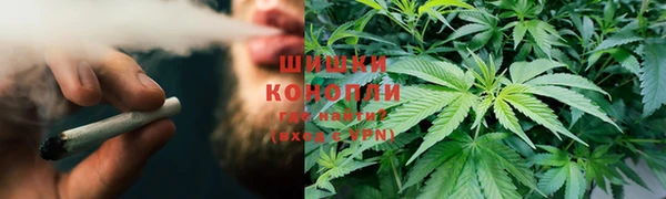 первитин Нея