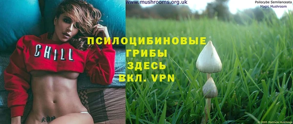 первитин Нея