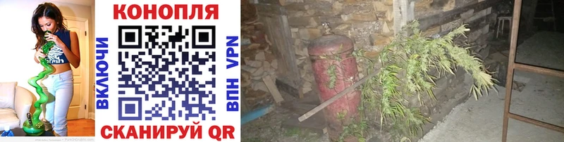 хочу наркоту Углегорск Шишки марихуана конопля
